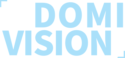 LangeVison